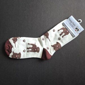 Chocolate Labrador Socks (Unisex)